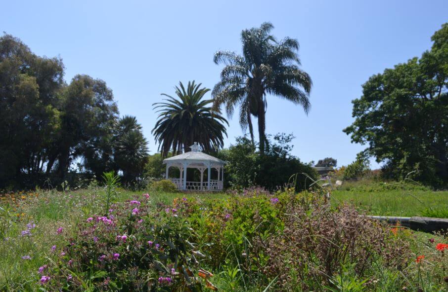UCI Arboretum Irvine in Irvine, CA